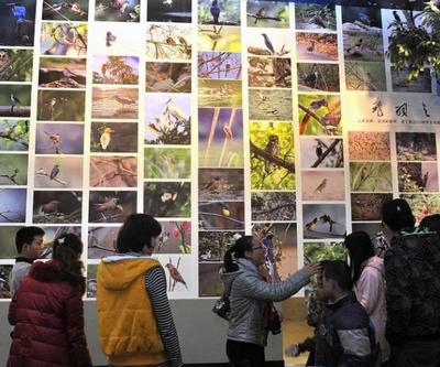 工廠礦山也能變景區？國家工業遺產旅游基地名單出爐 市場營銷策劃篇